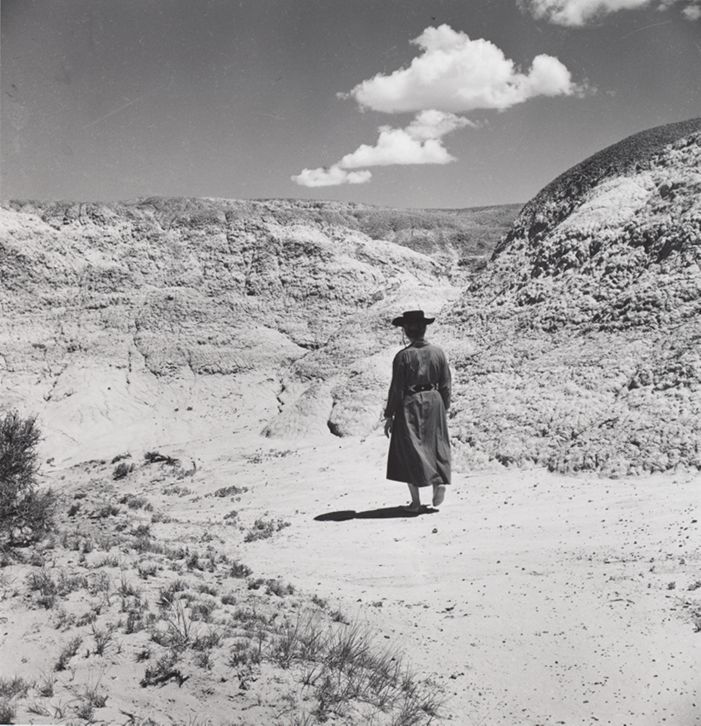 【洋書】GEORGIA O’KEEFFE AUF GHOST RANCH Ghost Ranch Cliffs by Georgia O'Keeffe on artnet