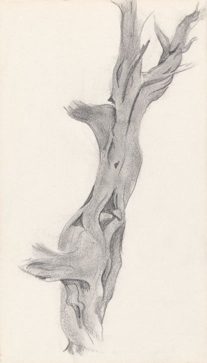 Abstraction, 1945 | The Georgia O'Keeffe Museum