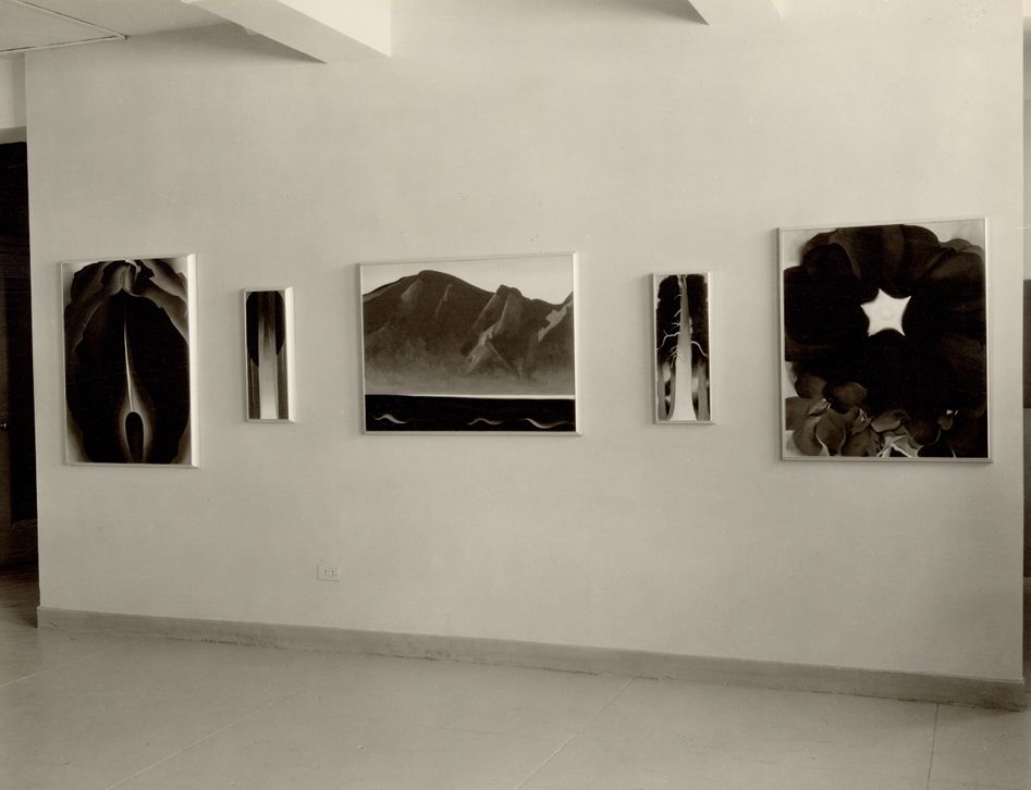 Back of Marie's No. 4, 1931 | Georgia O'Keeffe Museum: Access O'Keeffe
