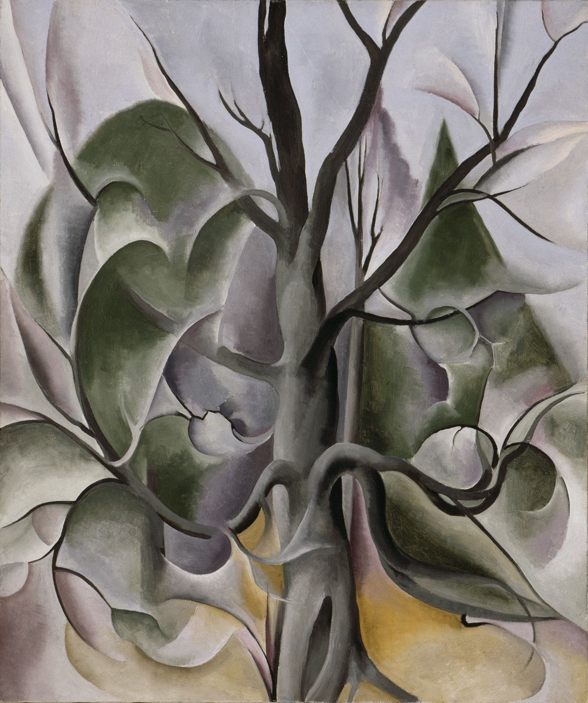 Grey Tree, Lake George, peinture de Georgia O’Keeffe — Metropolitan Museum of Art (The Met)