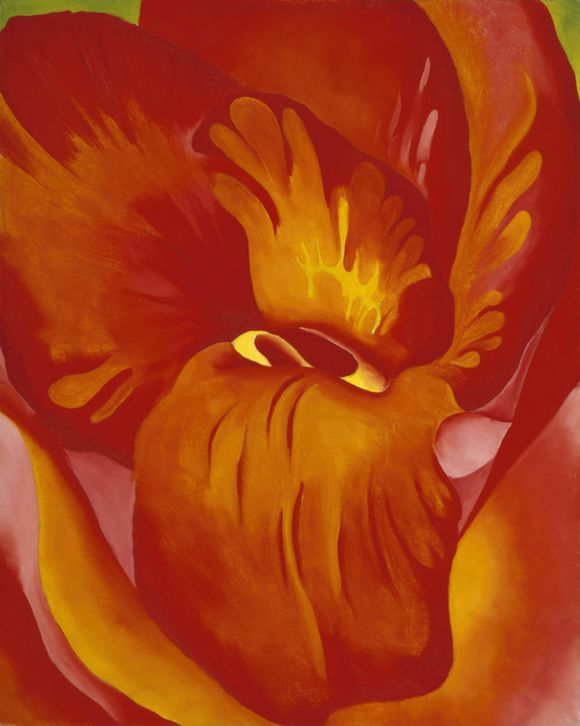 【激レア】WHITE HOLE STUDIO カカロット&保育カプセル&軍医 Canna Red and Orange, 1926 | The Georgia O'Keeffe Museum
