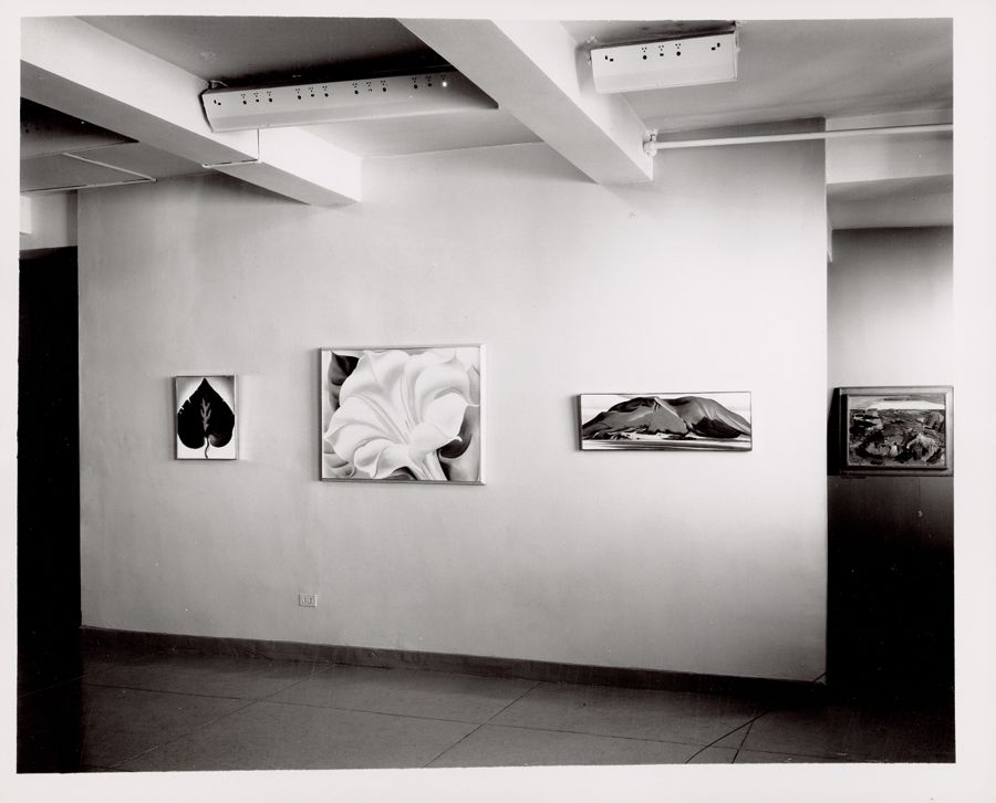 White Shell with Red, ca. 1938 | Georgia O'Keeffe Museum: Access O