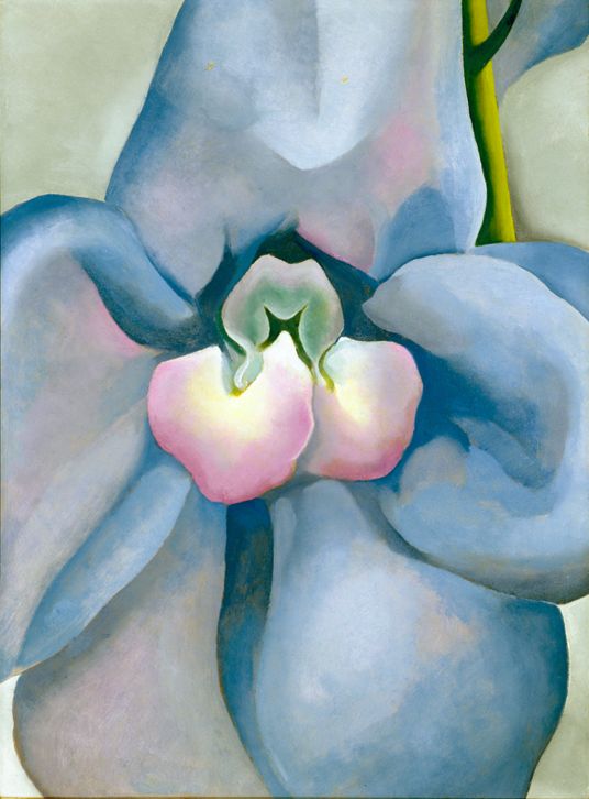 Blue Flower, 1924–1928 | The Georgia O'Keeffe Museum