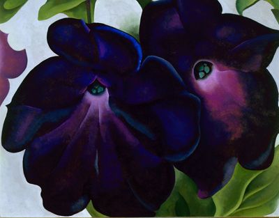 Petunia, 1925 | Georgia O'Keeffe Museum: Access O'Keeffe