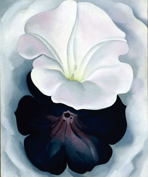 Untitled (Purple Petunia), 1925 | The Georgia O'Keeffe Museum