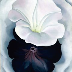 Black Petunia and White Morning Glory II, 1926 | The Georgia O