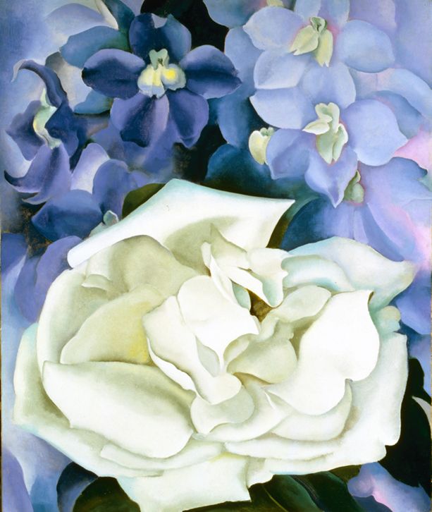 White Rose with Larkspur No. I, 1927 | The Georgia O'Keeffe Museum