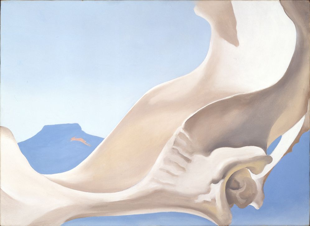 Pelvis With Shadows and the Moon, 1943 | The Georgia O