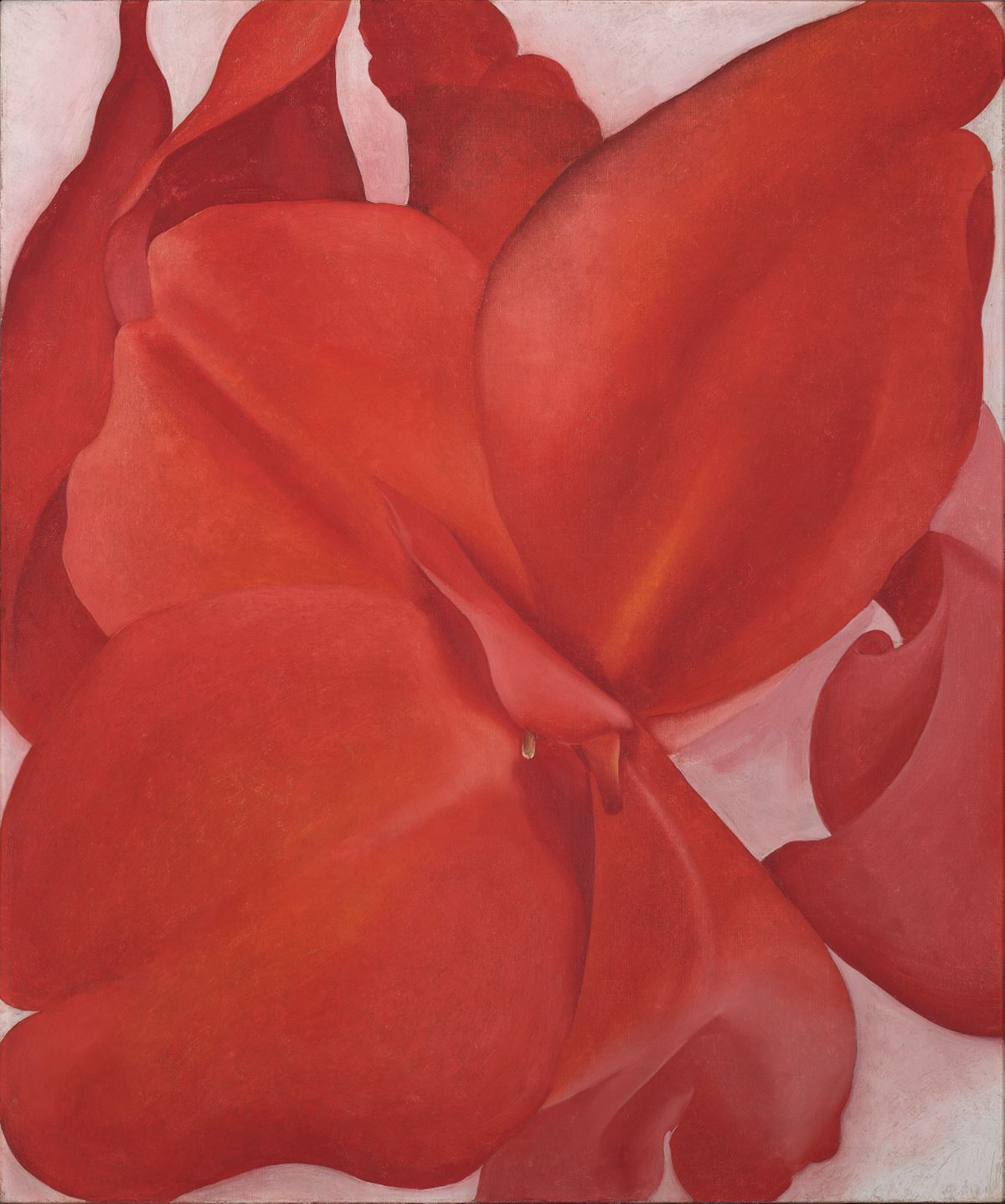 Red Cannas, peinture de Georgia O’Keeffe — Amon Carter Museum of American Art
