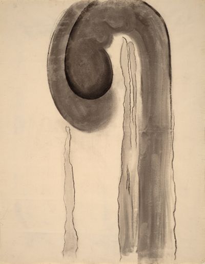 No. 3 – Special, 1915 | Georgia O'Keeffe Museum: Access O'Keeffe