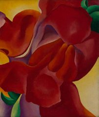 Untitled (Flower), 1923 | Georgia O'Keeffe Museum: Access O'Keeffe