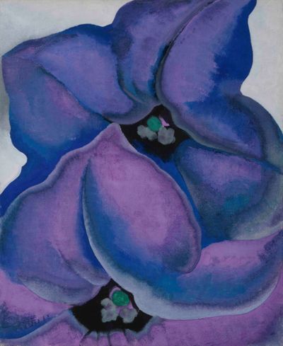 Untitled (Purple Petunia), 1925 | Georgia O'Keeffe Museum: Access