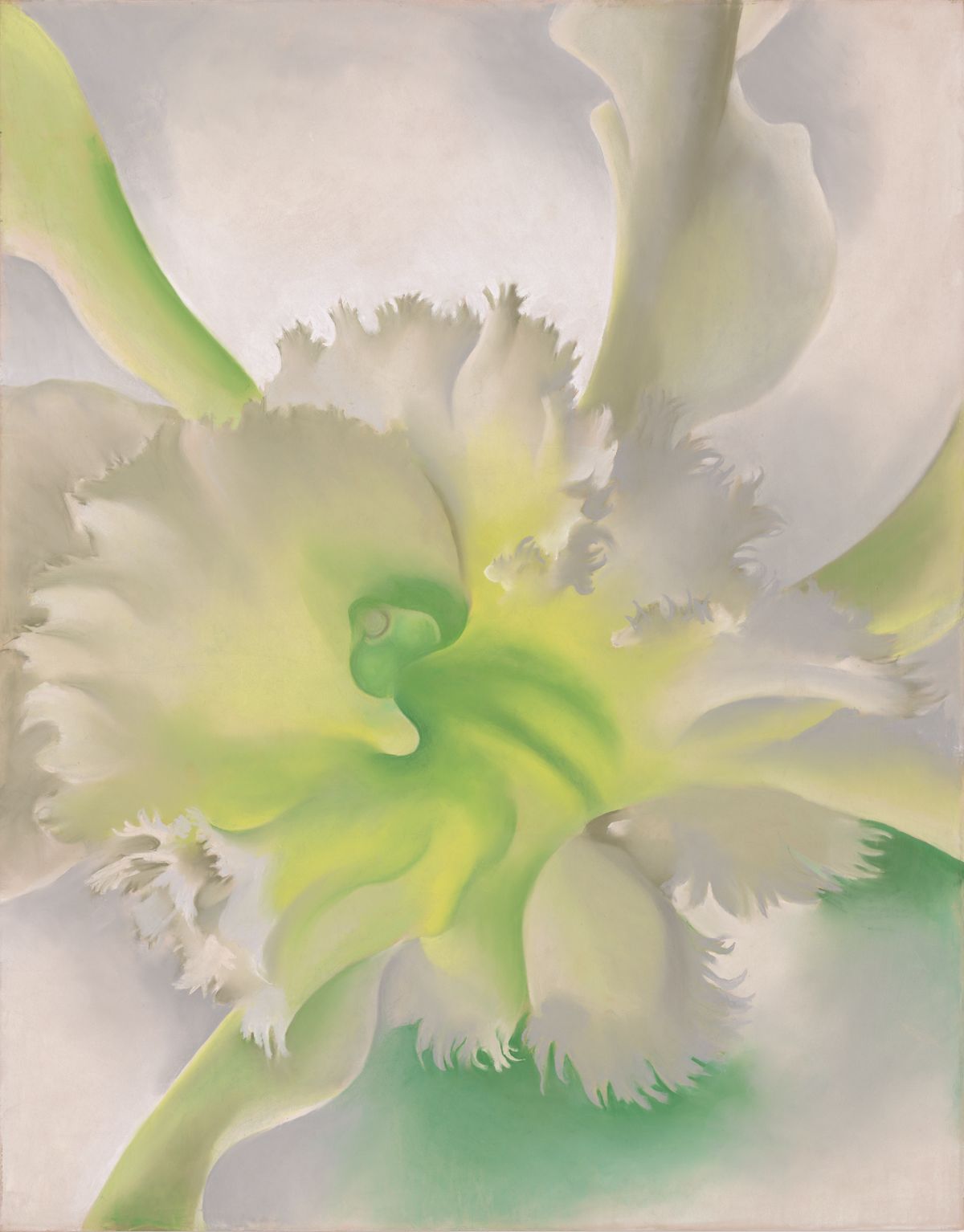 An Orchid, peinture de Georgia O’Keeffe — Museum of Modern Art (MoMA)