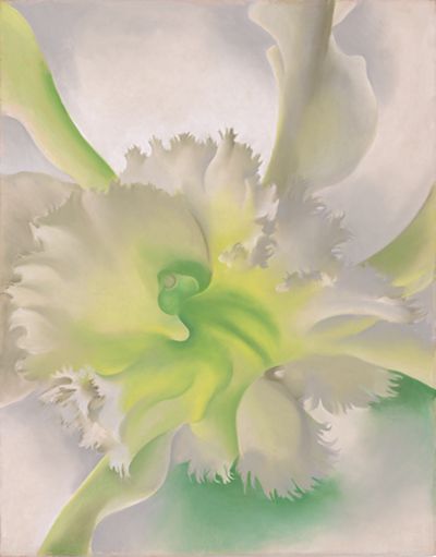 英国　Kew Garden オーキッドのスケッチのプリント木製フレ入り付き An Orchid, 1941 | Georgia O'Keeffe Museum: Access O'Keeffe