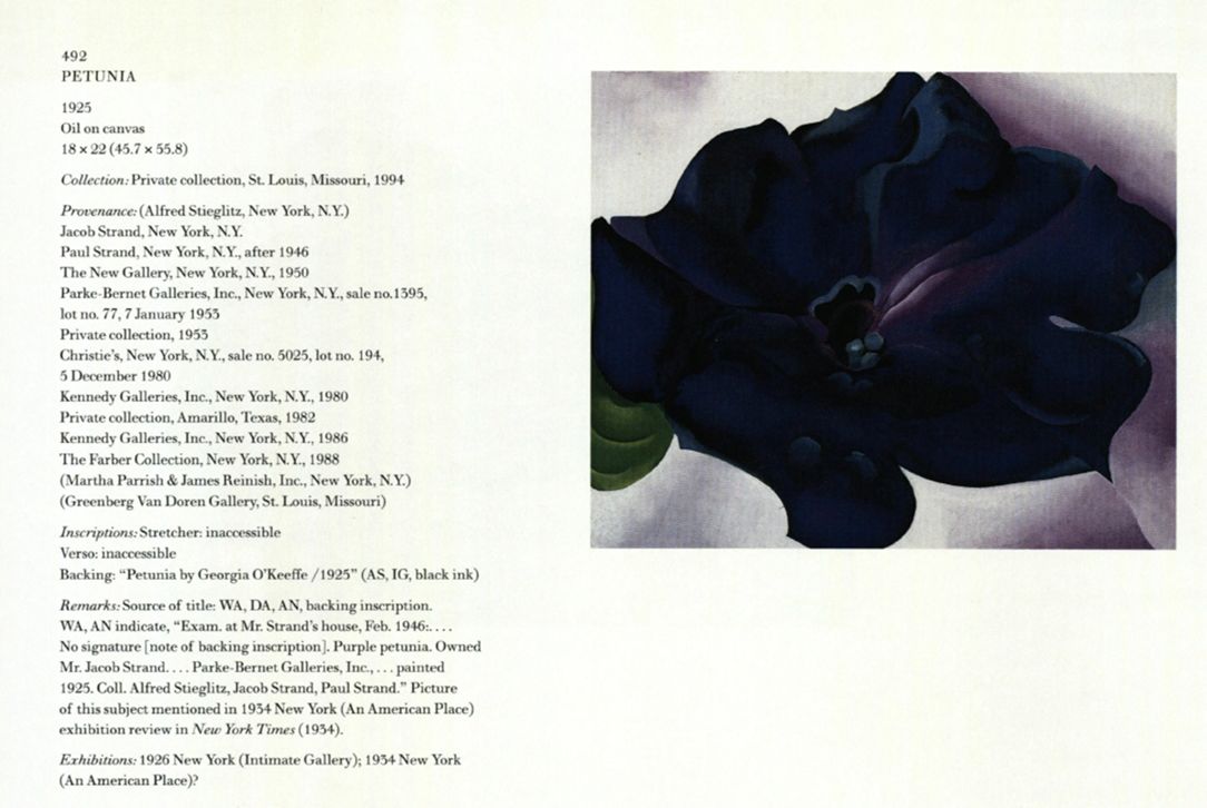 Petunia, 1925 | Georgia O'Keeffe Museum: Access O'Keeffe