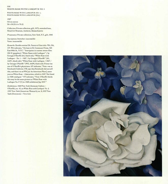 White Rose with Larkspur No. I, 1927 | Georgia O'Keeffe Museum
