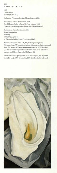 White Calla Lily, 1927 | Georgia O'Keeffe Museum: Access O'Keeffe