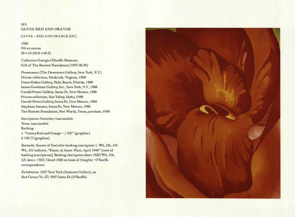 Canna Red and Orange, 1926 | Georgia O'Keeffe Museum: Access O'Keeffe