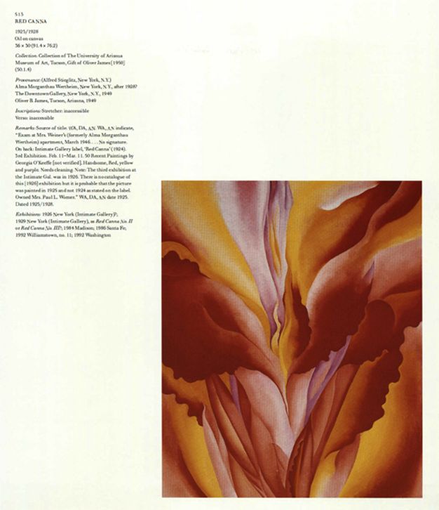Red Canna, 1925–1928 | Georgia O'Keeffe Museum: Access O'Keeffe