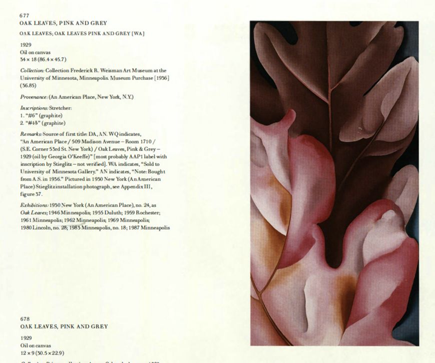 Oak Leaves, Pink and Grey, 1929 | Georgia O'Keeffe Museum: Access