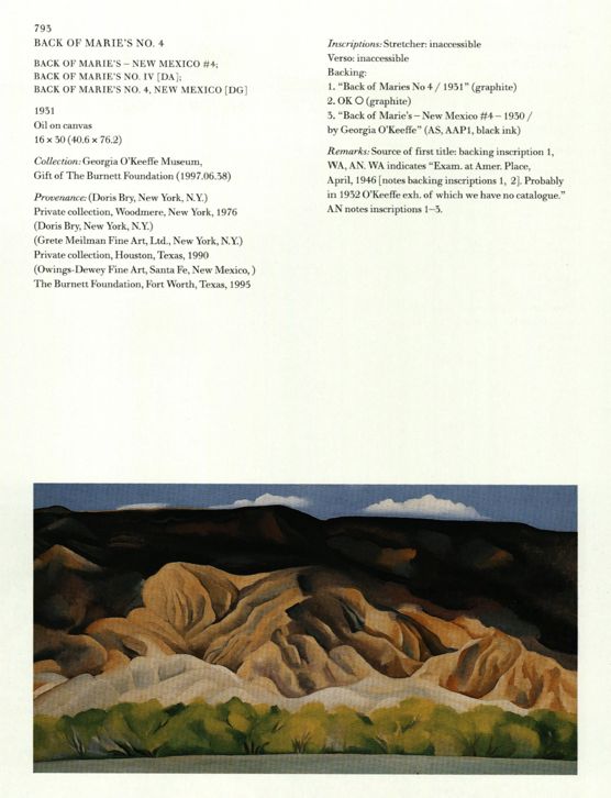 Back of Marie's No. 4, 1931 | Georgia O'Keeffe Museum: Access O'Keeffe