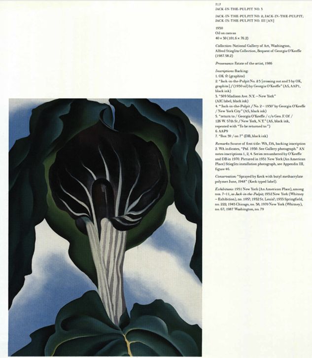 Jack-in-the-Pulpit No. 3, 1930 | Georgia O'Keeffe Museum: Access O