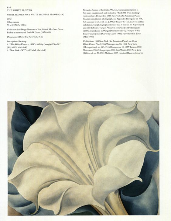 The White Flower, 1932 | Georgia O'Keeffe Museum: Access O'Keeffe