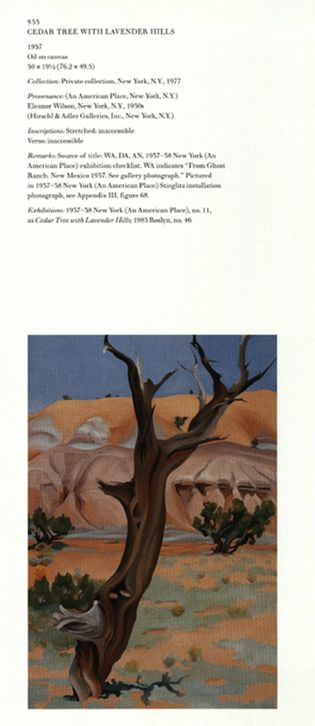 Cedar Tree with Lavender Hills, 1937 | Georgia O'Keeffe Museum