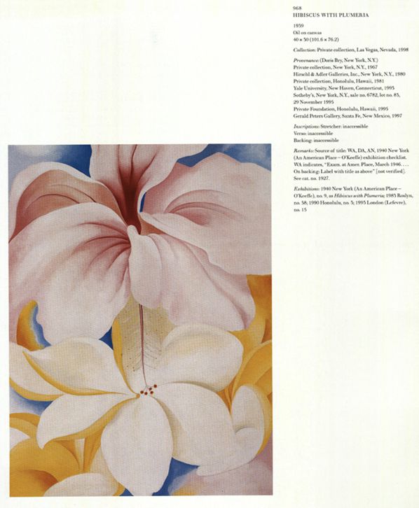 Hibiscus with Plumeria, 1939 | Georgia O'Keeffe Museum: Access O
