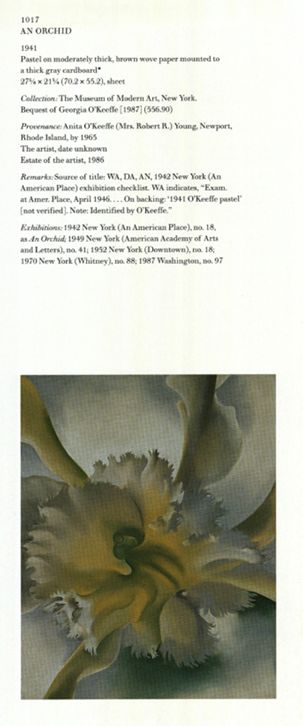 英国　Kew Garden オーキッドのスケッチのプリント木製フレ入り付き An Orchid, 1941 | Georgia O'Keeffe Museum: Access O'Keeffe