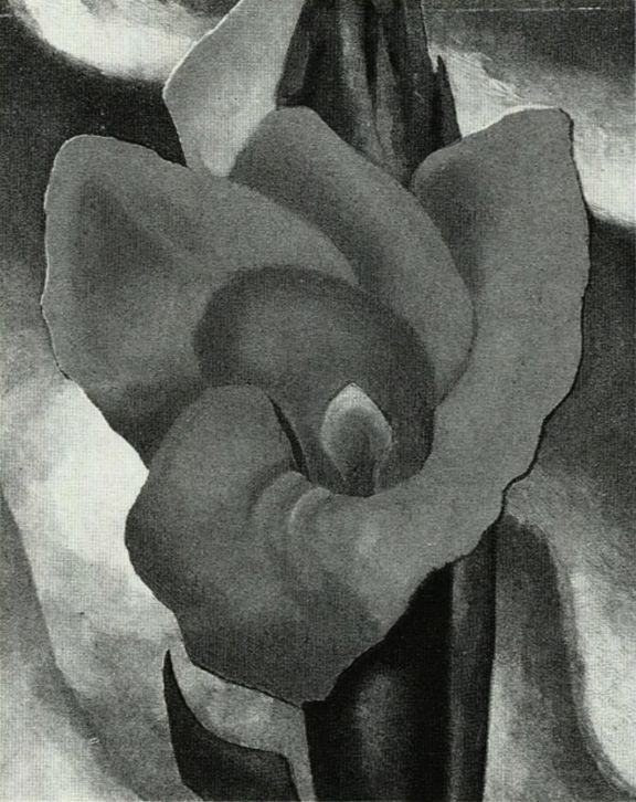 Canna Red and Orange, 1926 | Georgia O'Keeffe Museum: Access O'Keeffe
