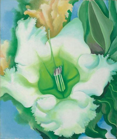 Hibiscus with Plumeria, 1939 | Georgia O'Keeffe Museum: Access O
