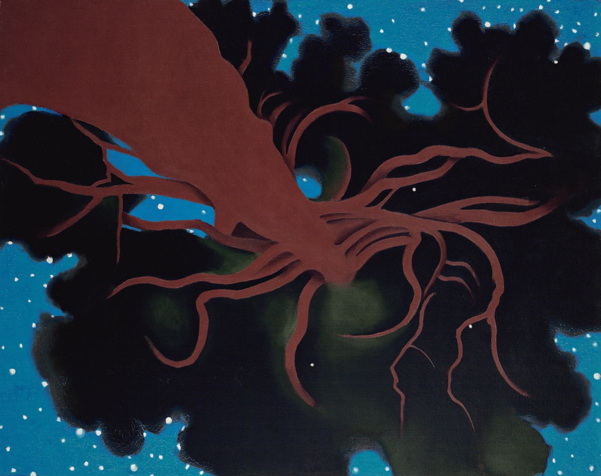 D. H. Lawrence Pine Tree, peinture de Georgia O’Keeffe — The Wadsworth
