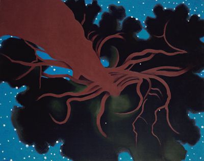 D. H. Lawrence Pine Tree, 1929 | Georgia O'Keeffe Museum: Access O