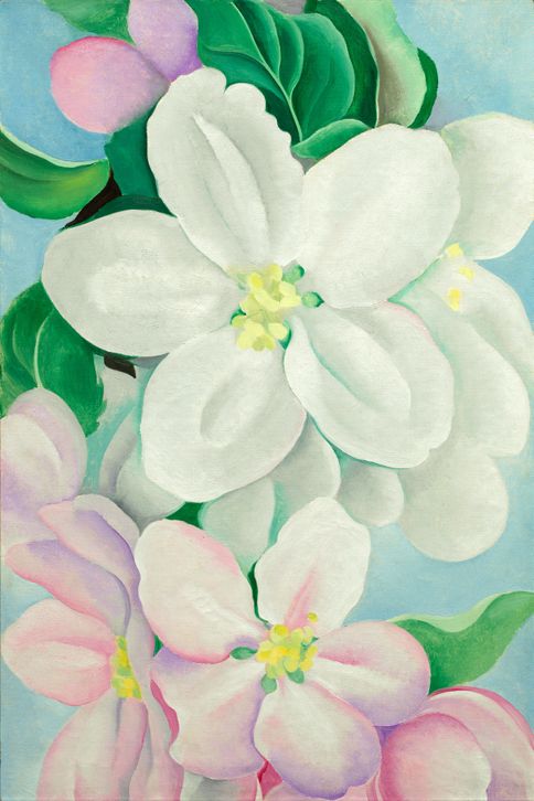 Apple Blossoms, 1930 | Georgia O'Keeffe Museum: Access O'Keeffe