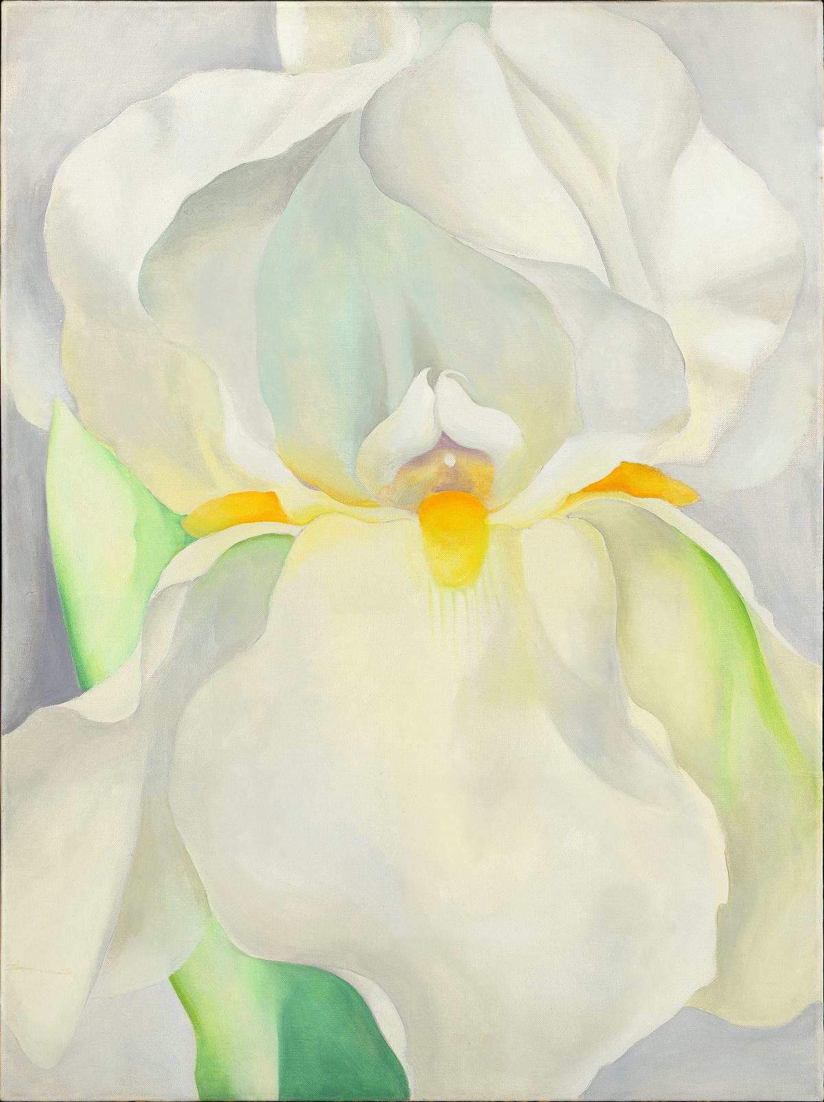 White Iris No. 7, peinture de Georgia O’Keeffe — Museo Nacional Thyssen-Bornemisza